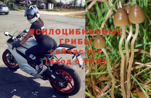 альфа пвп Уссурийск