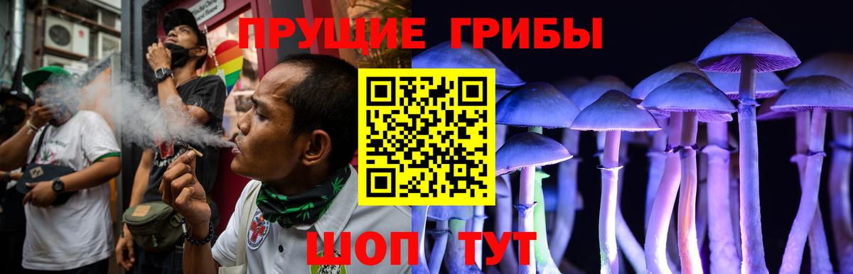 Таганрог  Псилоцибиновые грибы Magic Shrooms  Вход с VPN  Галлюциногенные грибы Psilocybine cubensis 
