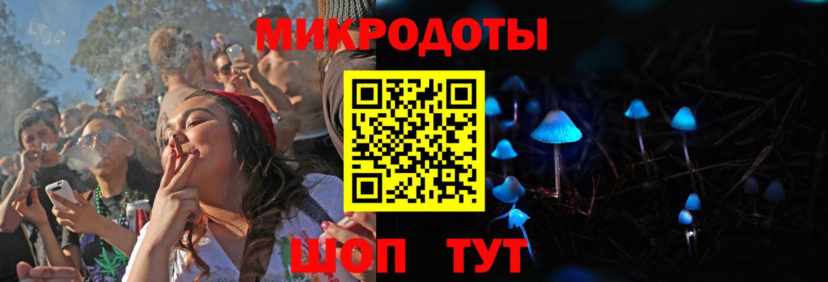 Галлюциногенные грибы Psilocybine cubensis Таганрог
